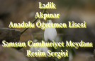 AKPINAR RESİM SERGİSİ SAMSUN 31.5.2013