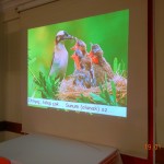 DSCN6640